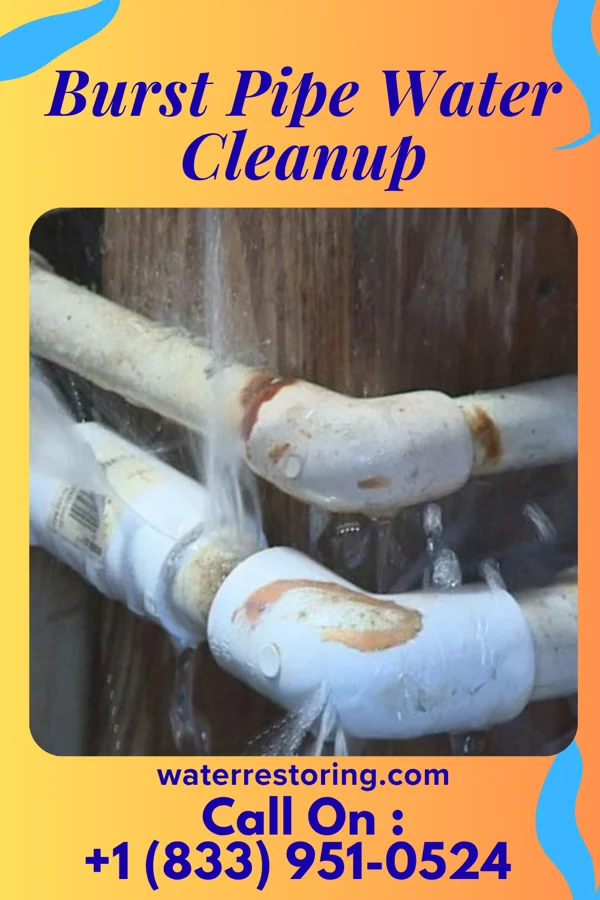 Burst Pipe Water Cleanup in Montgomery, IL