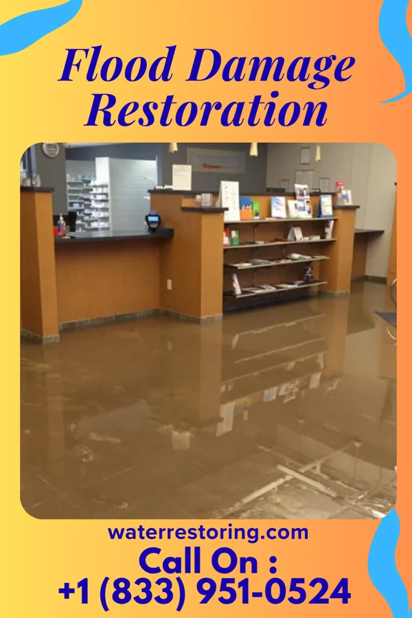 Flood Damage Restoration in Montgomery, IL