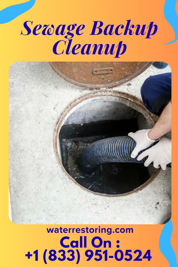 Sewage Backup Cleanup in Montgomery, IL